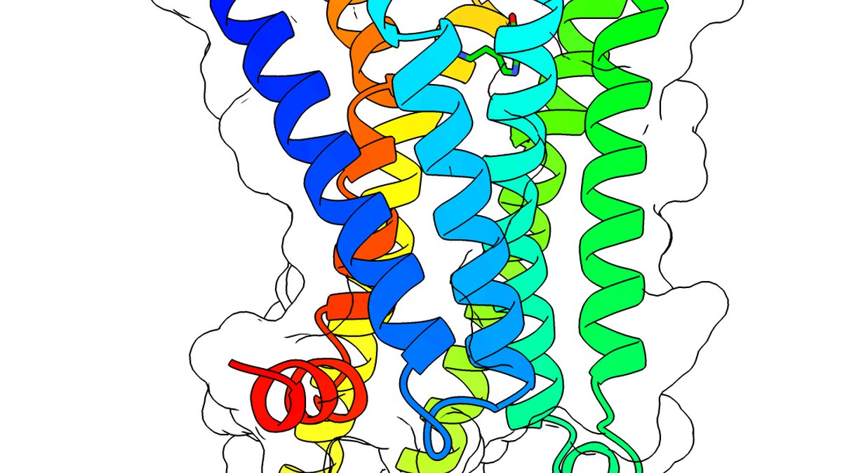 A de novo protein backbone rendered as a rainbow ribbon — the kind of new structure RoseTTAFold Diffusion (RFdiffusion) designs from noise, a Panacea Bio Chem explainer by Bogdan Dicoias